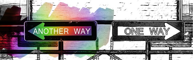 one way/other way street sign