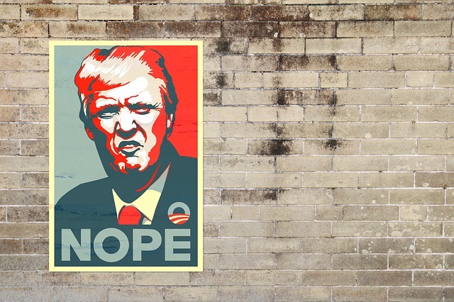Trump picture with Nope written on poster